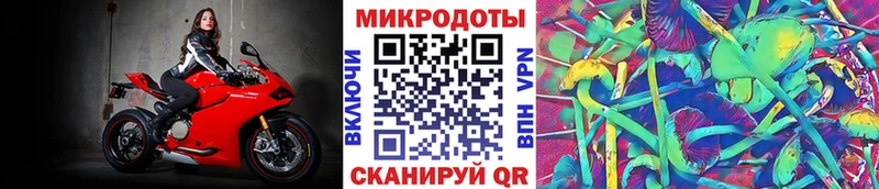 Псилоцибиновые грибы Magic Shrooms  Советск 